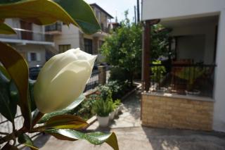 Magnolia - Ágios Nikólaos - 0