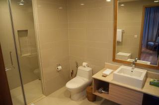 Sunshine Apartment in 5* resort - Da Nang - 5