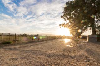 Welgeluk Cottage - Oudtshoorn - 8