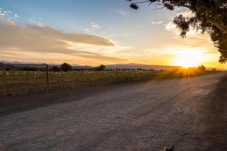 Welgeluk Cottage - Oudtshoorn - 3