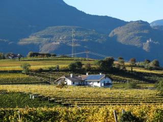 Fasslhof - Cornaiano - 8