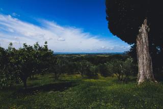 Agriturismo Poggio Bonelli - Castelnuovo Berardenga - 1