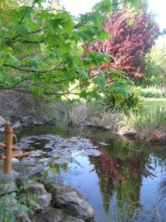 Le Mas De La Cigale Bleue, Caumont Sur Durance - Caumont-sur-Durance - 5
