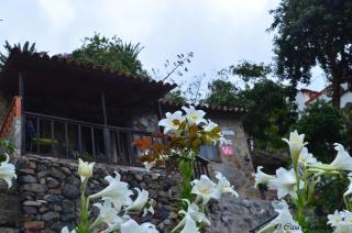 Casa Jonay - Hermigua - 8