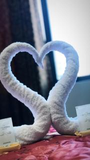 Hotel Selva Dorada - 4