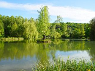 Le Domaine de L'étang de Sandanet - 2
