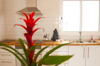 MARCELA&JOAQUIN MOUNTAIN HOUSE - Fasnia - 6