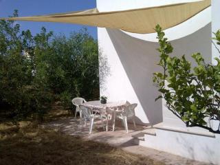 Villa Loredana - Torre Suda - 0
