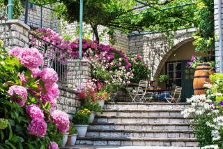 Zissis Hotel - Aristi - 0
