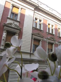 Apartment Danijela-City Centar - Belgrado - 8