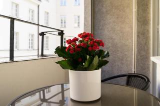 Old Town Grand Theatre Apartment 2 - Varsovie - 4