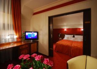 Hotel Victoria - Włocławek - 8