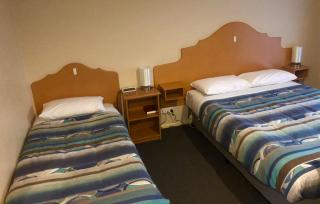 Sheffield Motor Inn - Sheffield - 4