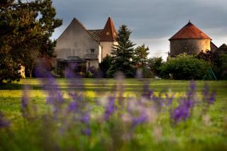 L'Hote Antique - MAISON D'HOTE- 4 Suites avec cuisine - Pichanges - 3