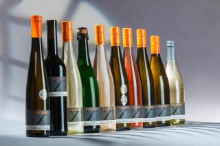 Weingut Bernd Hermes - Kröv - 5
