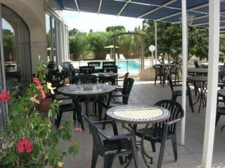 Les Mimosas - Lunel - 6