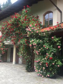 Ferienhaus Kramser - 6