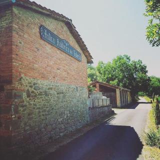 Podere Casina Rossa - Poppi - 9
