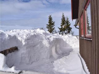 Cozy Home In Sjusjøen With Kitchen - Sjusjøen - 7