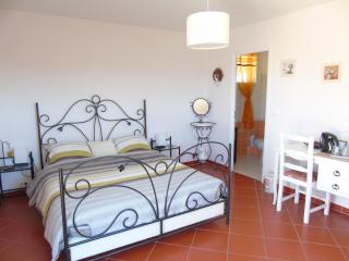 Mas des Citronniers - Le Tignet - 6