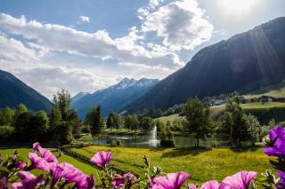 Jedelerhof - Neustift im Stubaital - 4