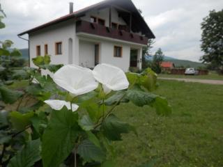 Guesthouse Matija - Irinovac - 0