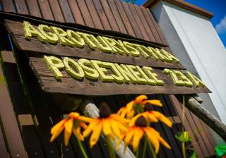 Gospodarstwo Agroturystyczne Jacwing - Giby - 0