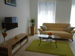 Apartments Vincent - Kastav - 8