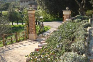 Valuable rustic Tuscan swimming pool, breathtaking view of Camaiore - Camaiore - 3