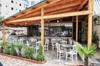 Olive Tree - Saranda - 0