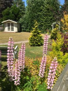 Westwood Cottage - 6