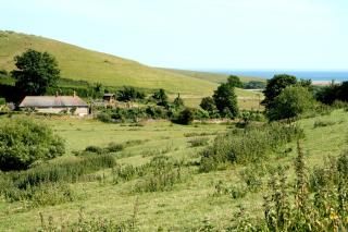 The Cottage Abbotsbury - 7