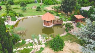 Villa Garden - Zalaegerszeg - 6