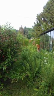 La martre - Saint-Sylvestre-de-Cormeilles - 3