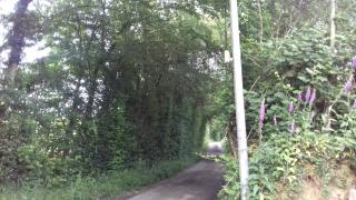 La martre - Saint-Sylvestre-de-Cormeilles - 6