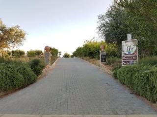 Agriturismo Macchia di Riso - Nova Siri Marina - 9