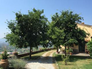 Country Villa La Bella Vista - Ponte Nuovo - 7