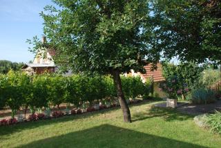 Panoráma Apartmanház - 3