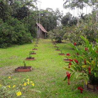 La Arenosa Lodge Tanimboca - 9