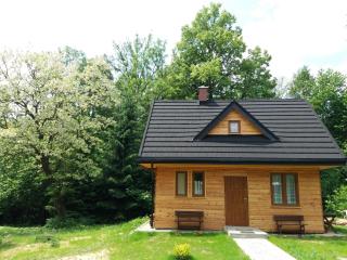 U Eskulapa Bieszczady - Lutowiska - 7