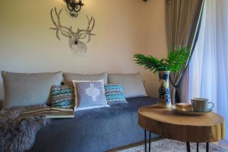 Folk Resort Domki i Apartamenty - Murzasichle - 9