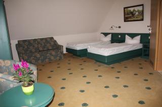 Müritz Landhotel Grüner Baum - Gotthun - 5