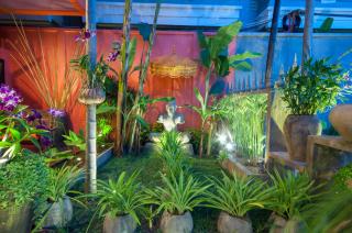 Golden Butterfly Villa - 1