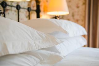 Virginia Park Lodge - 7