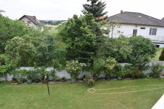 Pension Weinberg - Mörbisch am See - 8