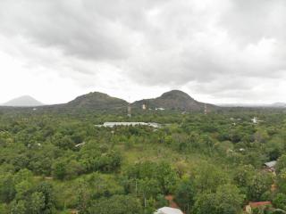 Araliya resort dambulla with free cooking class - 3