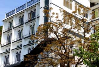 The Three Oaks Boutique Hotel - Mussoorie - 9
