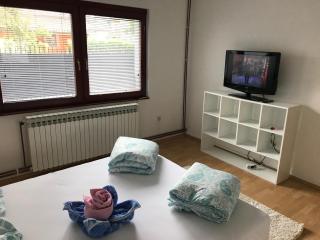 Apartmani Pejton Ilidza - 9