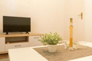Apartment Tranquilo Garden - Dubrovnik - 4