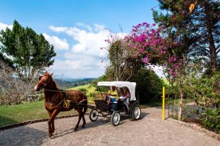 Hotel Fazenda Colibri - Amargosa Valley - 5